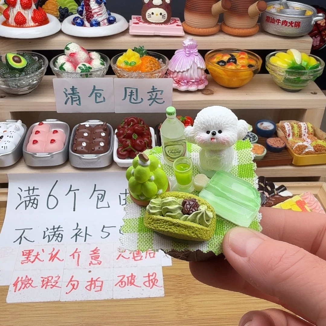合成树脂食玩冰箱贴 凭开箱视频售后
