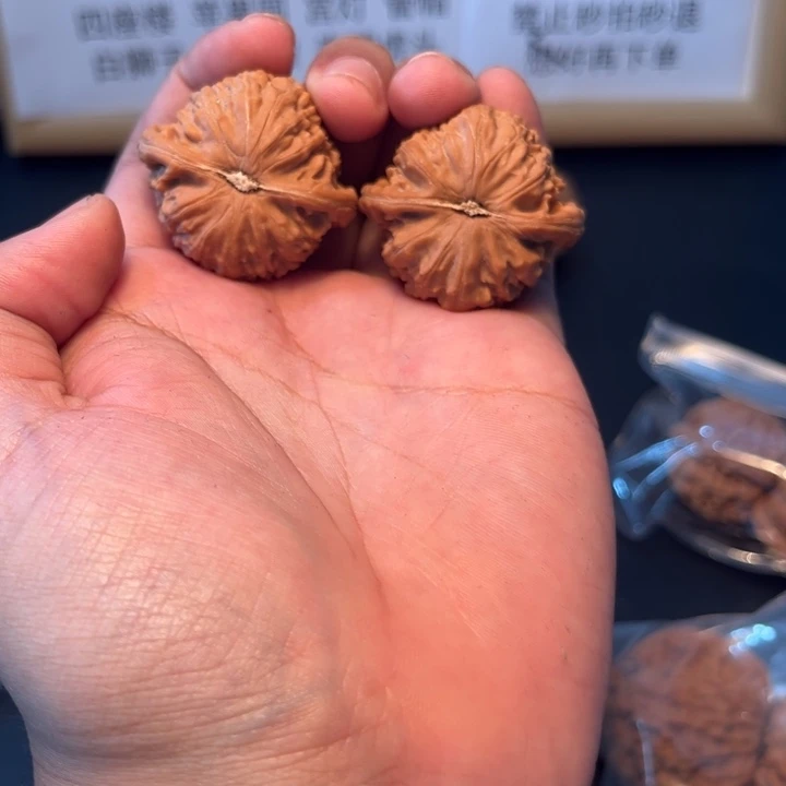 把件文玩核桃白狮子全品
