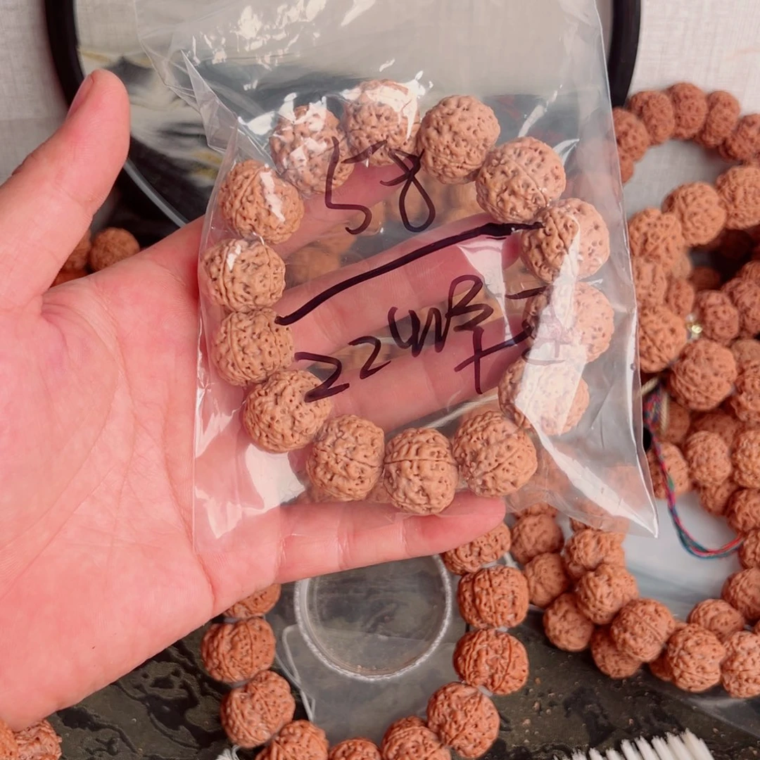 用***6吊坠金刚菩提啊啊啊啊啊啊啊啊啊啊