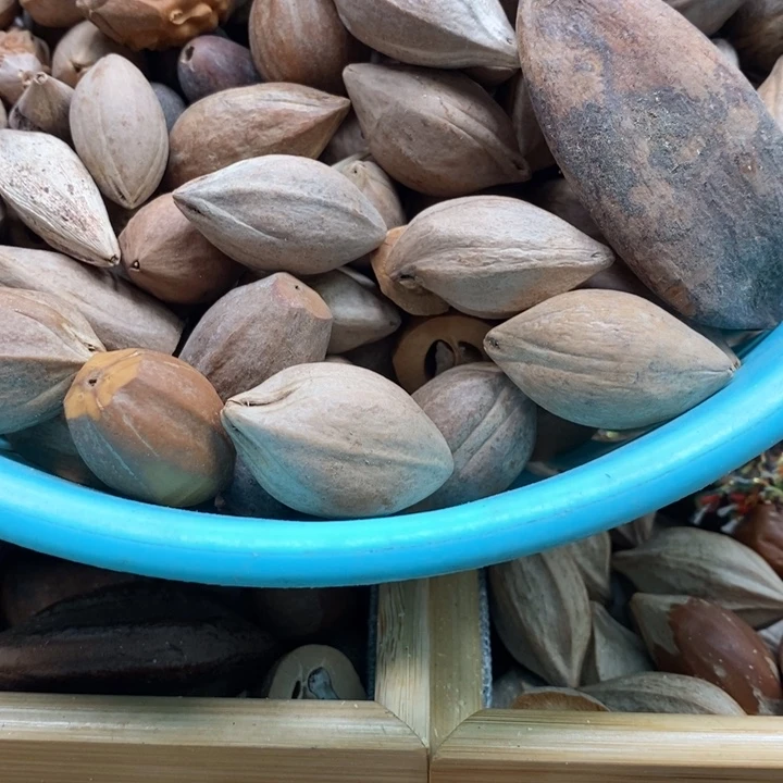 吊坠橄榄核橄榄球赛