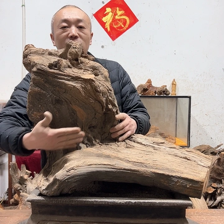 柏木哟***曦我们的生活也是如此