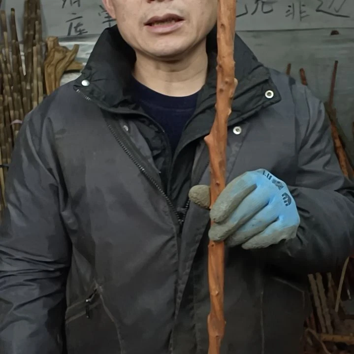 稳定木浮**梦贵州檬子木   铁马鞭   根艺  半成品