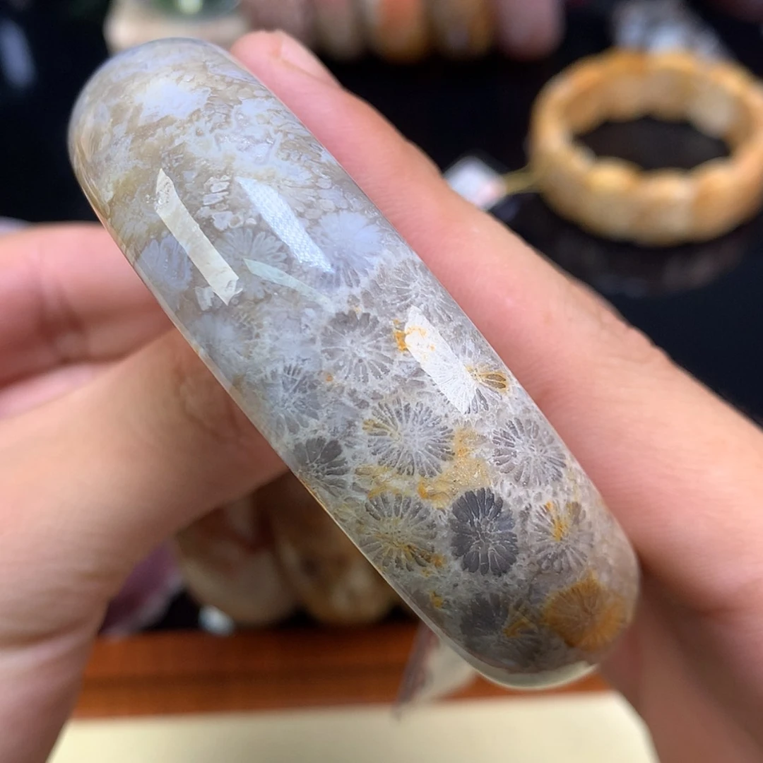 【闪购商品】颈饰未镶嵌硅化珊瑚（珊瑚玉）49号64.3圈双面花