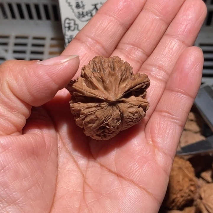 梦***落核桃宫灯蛇尺寸37有雹子伤