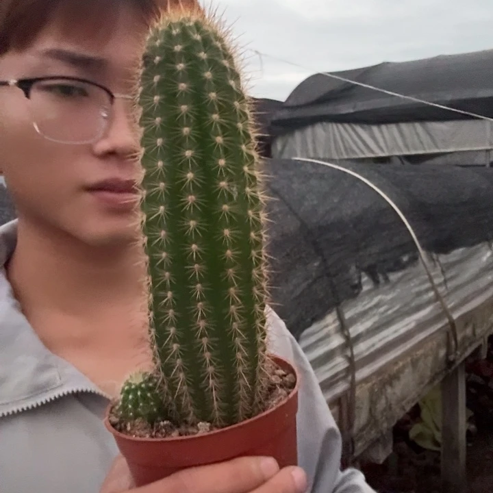 爱***林无花朵粉桃哈哈哈哈哈哈