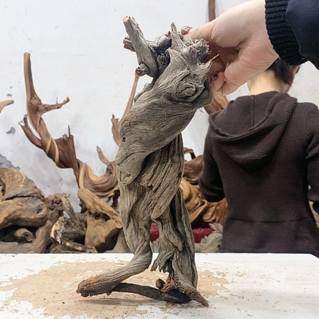 【闪购商品】柏木大****2我们都是好孩子