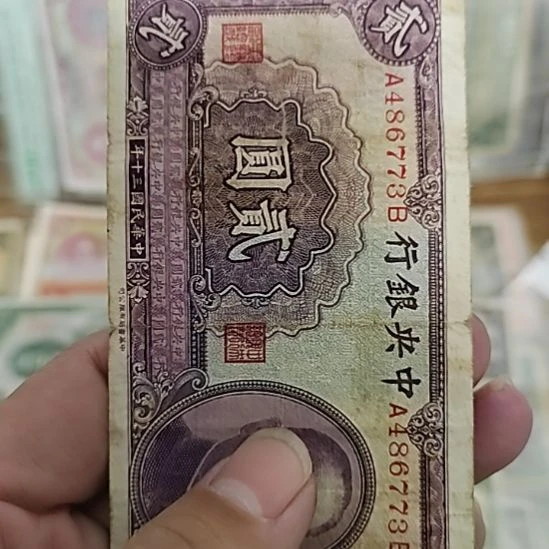 塑料中央银行贰圆纸币486773
