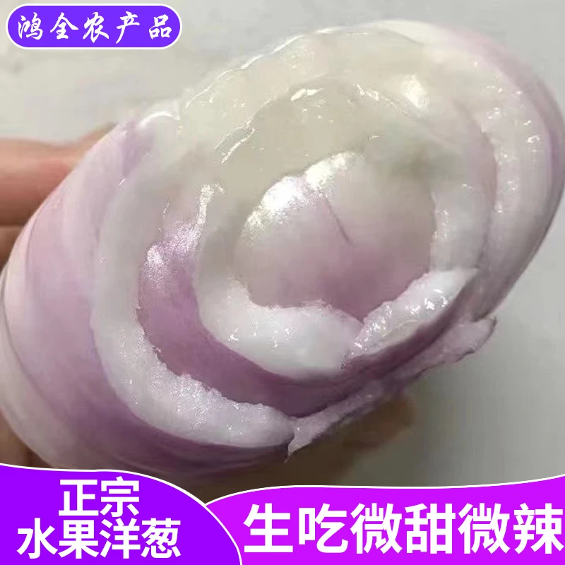 2025年扁平水果洋葱生吃微甜脆嫩爽口时令蔬菜5斤装