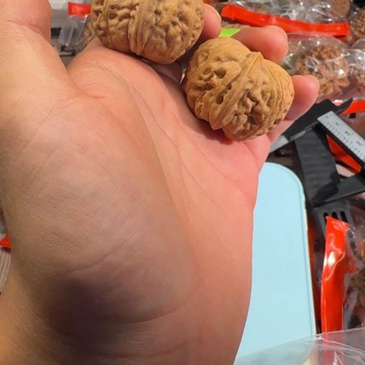 史***儿哈哈哈哈哈哈哈哈哈