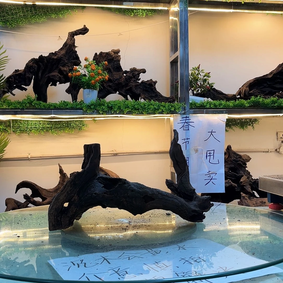 柚木沉木鱼缸造景