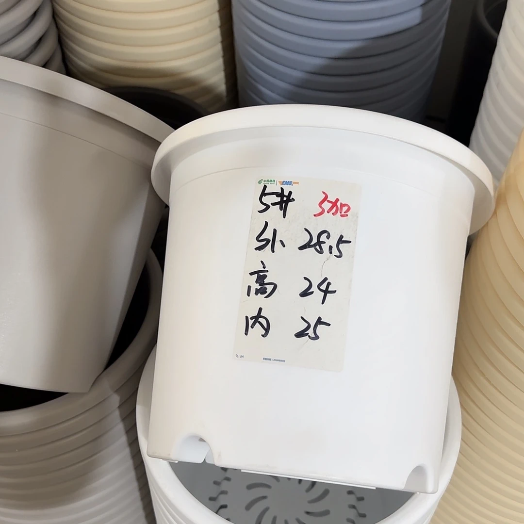 微瑕5号无托6个，白