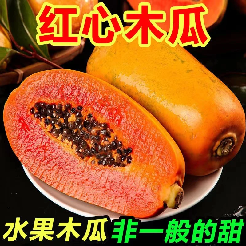 云南红心牛奶木瓜新鲜应当季孕妇水果青皮番木瓜树上熟冰糖心