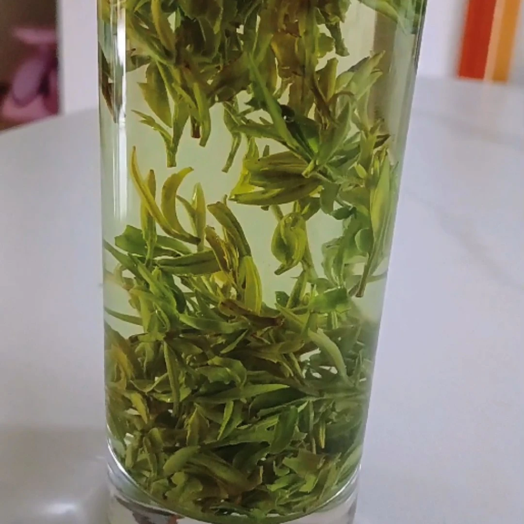 B2【庐山云雾雨前茶】2025年新茶高山绿茶香浓老土种庐山云雾非毛尖