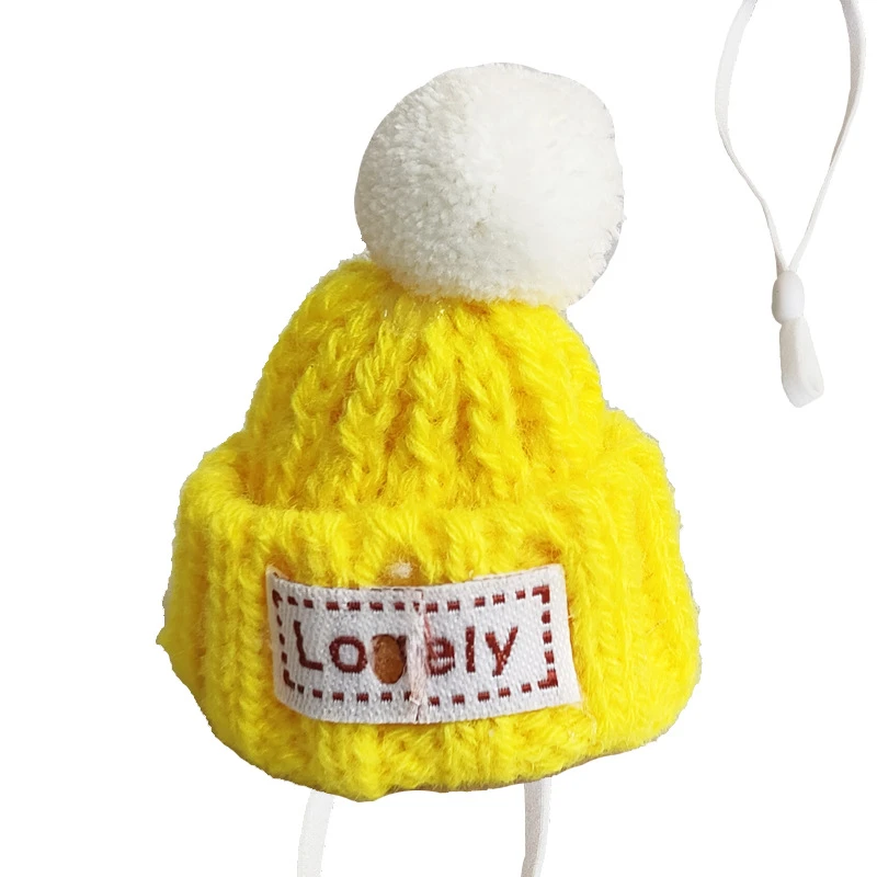 仓鼠帽子金丝熊鹦鹉花枝鼠小帽子针织毛线帽可爱宠物头饰头套