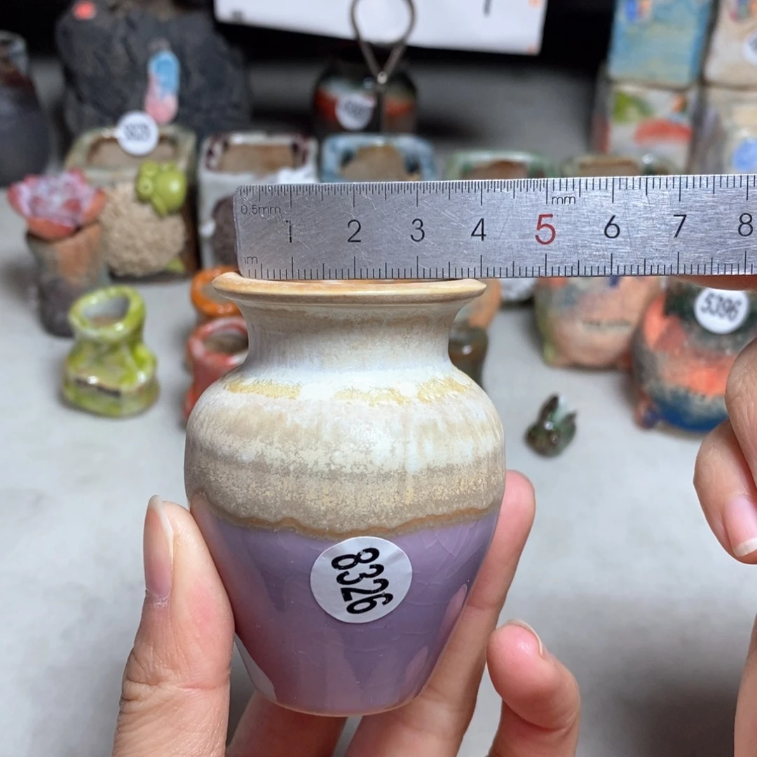 拍5送一个小礼物