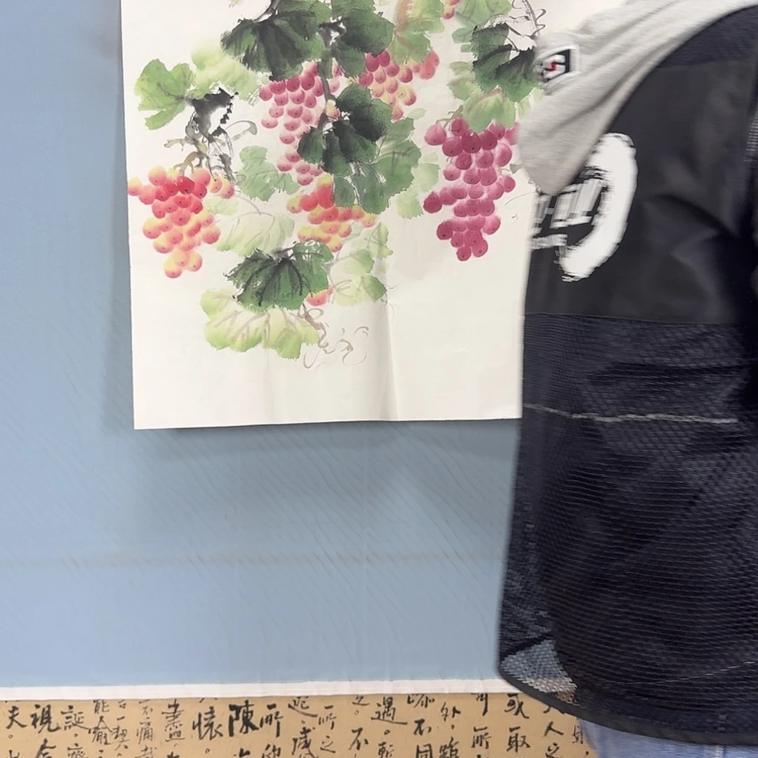 国画65 牡丹一如你初来