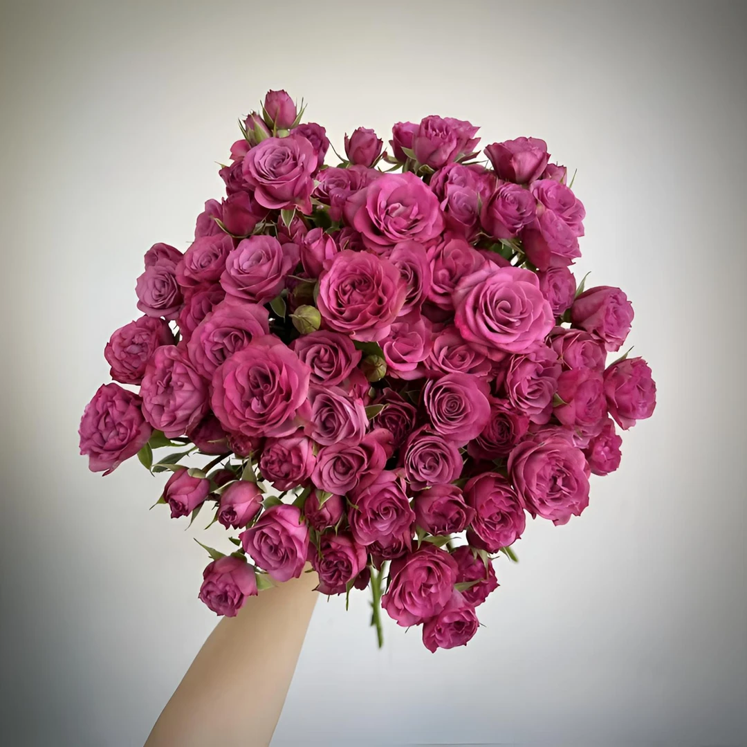 【秦小胖】暗夜魅影多头玫瑰（注意：特殊花材收到带包装醒花）