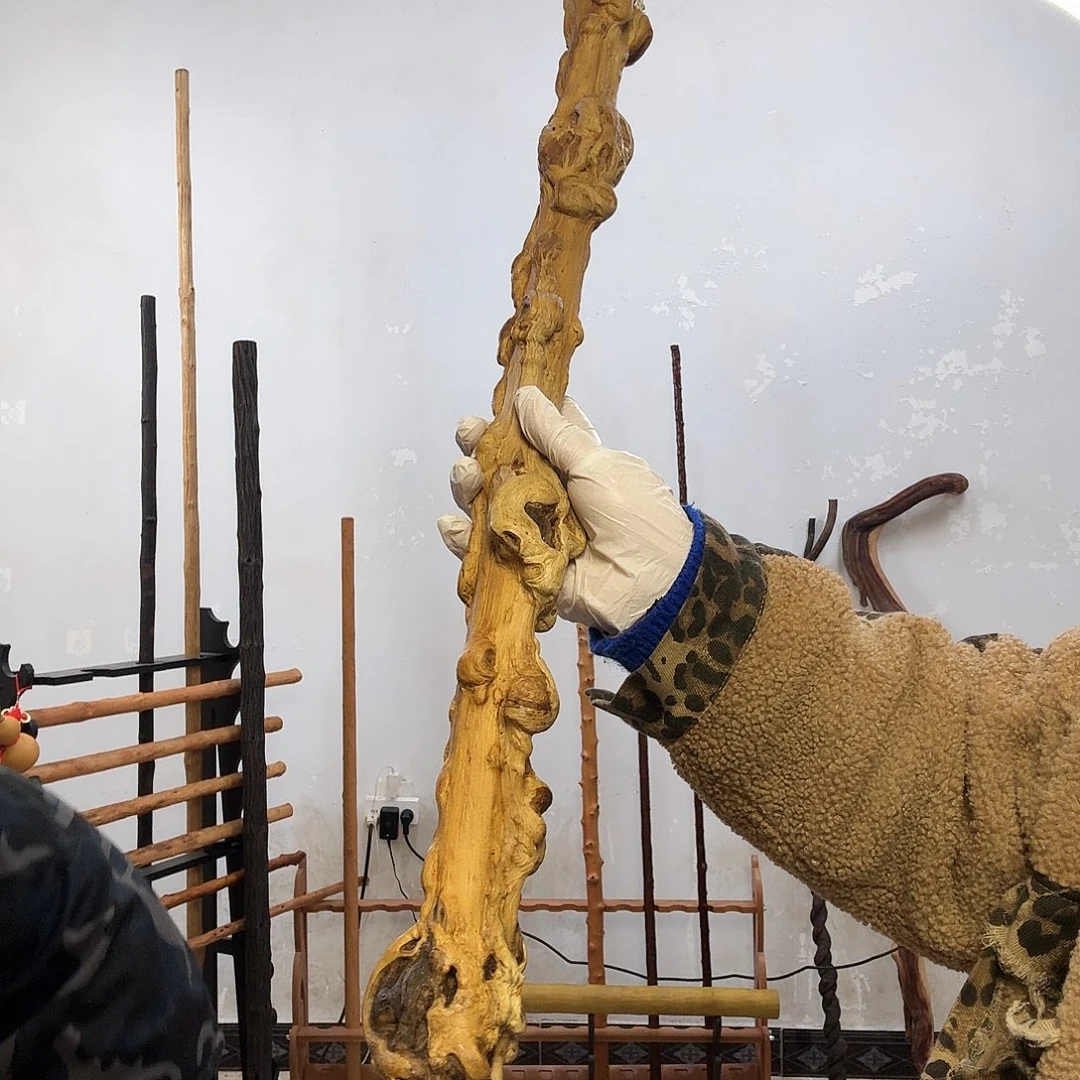 無***爲猞猁降龙木，，，，，，，