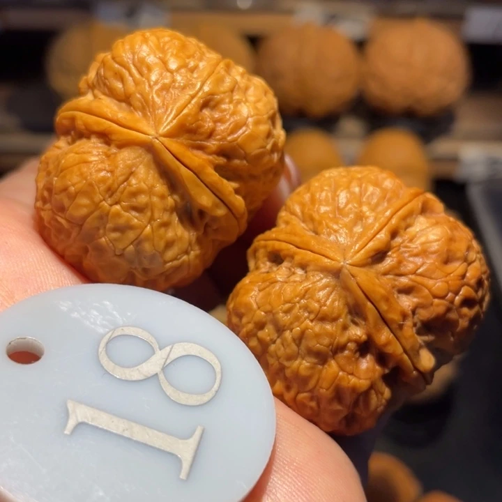 七彩三棱核桃尺寸39