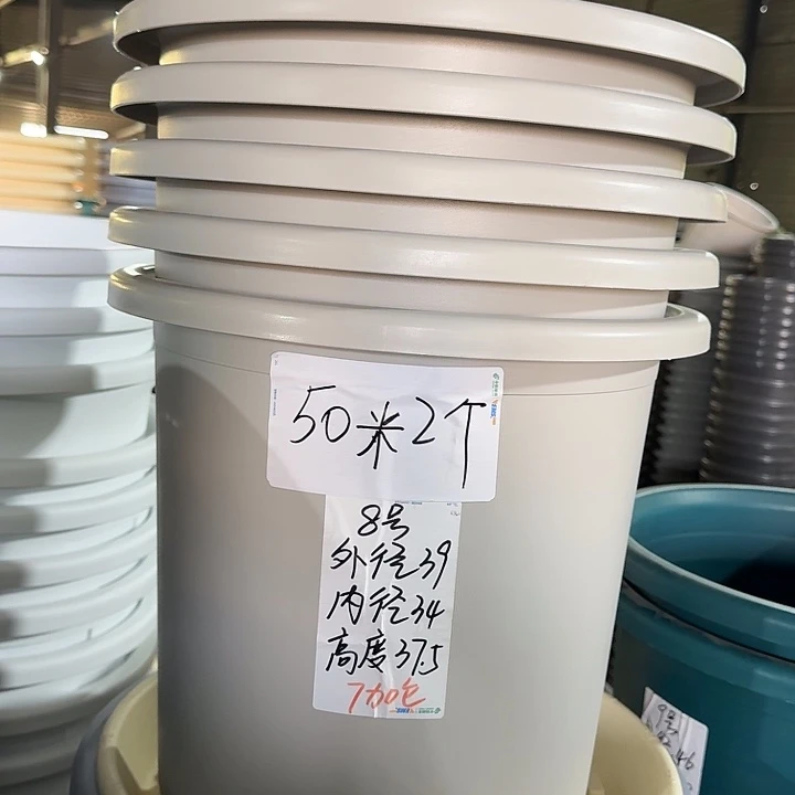 微瑕8#灰白5个无托