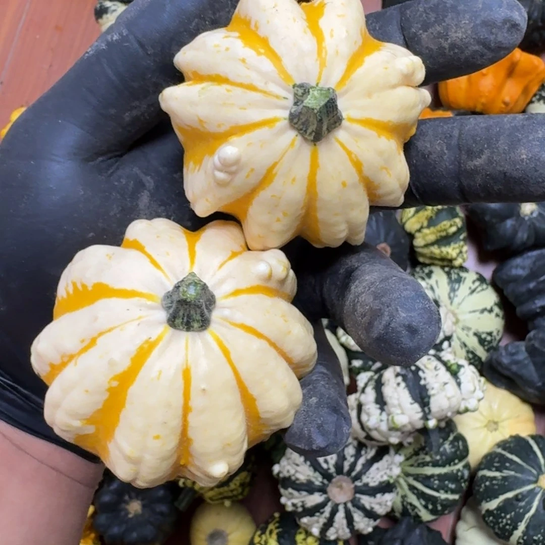 海*葫芦啊啊啊啊啊啊啊啊啊啊