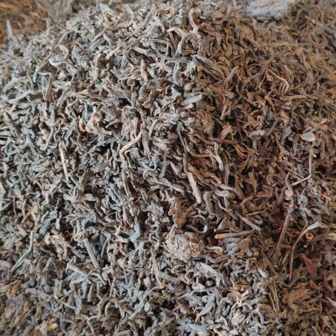 陈香六堡茶  散装茶罐装