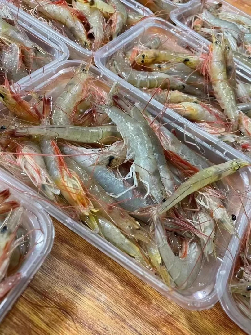 3斤净重 小红虾 新鲜冷冻 3斤/袋 顺丰包邮
