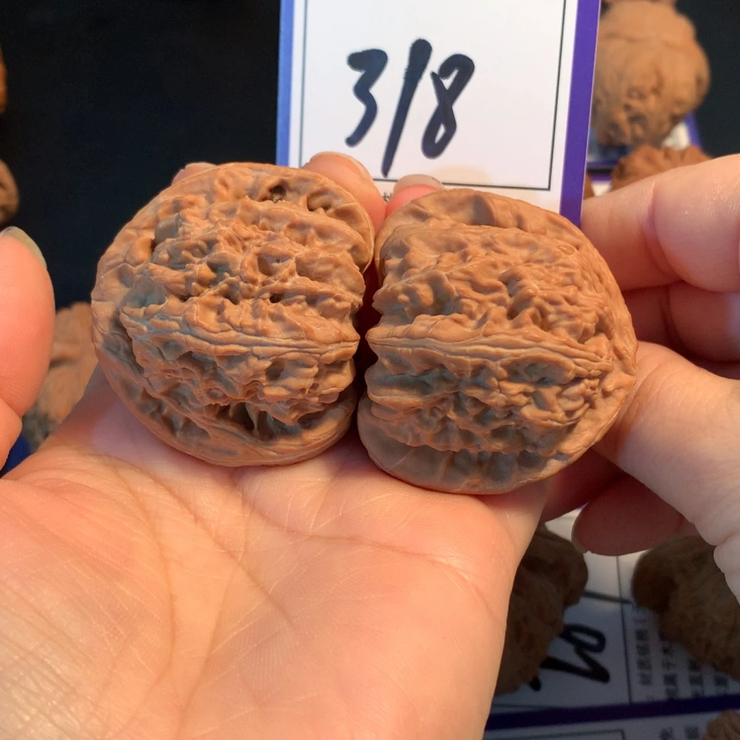 把件文玩核桃318白狮子4.5