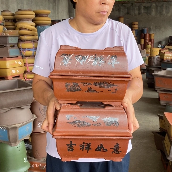 紫砂花盆盆栽花卉苗木种植