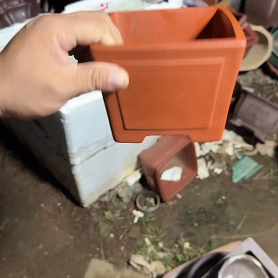 不说你还以为我们俩就