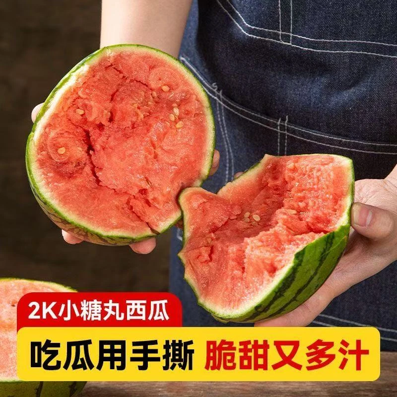 【爆款小糖丸】2K早春红玉薄皮孕妇时令西瓜新鲜水果正宗新鲜西瓜