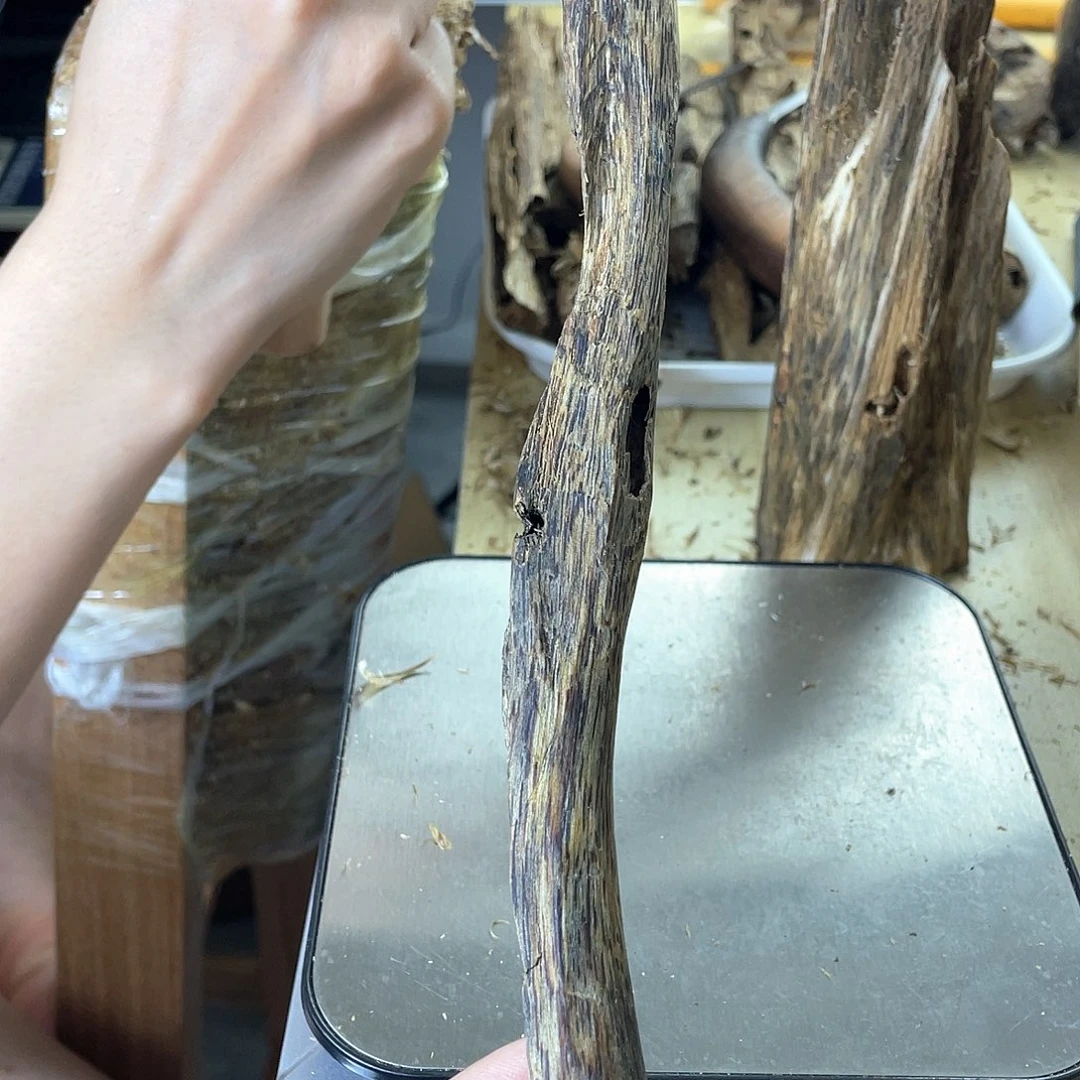 木绿奇楠原材料虫漏23克