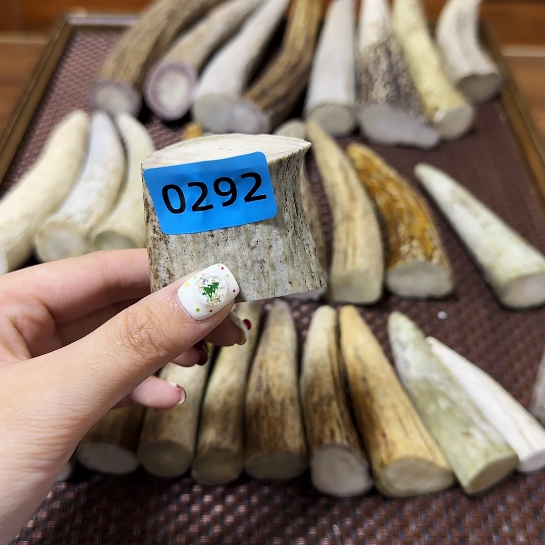 手串/手链鹿骨中段0292