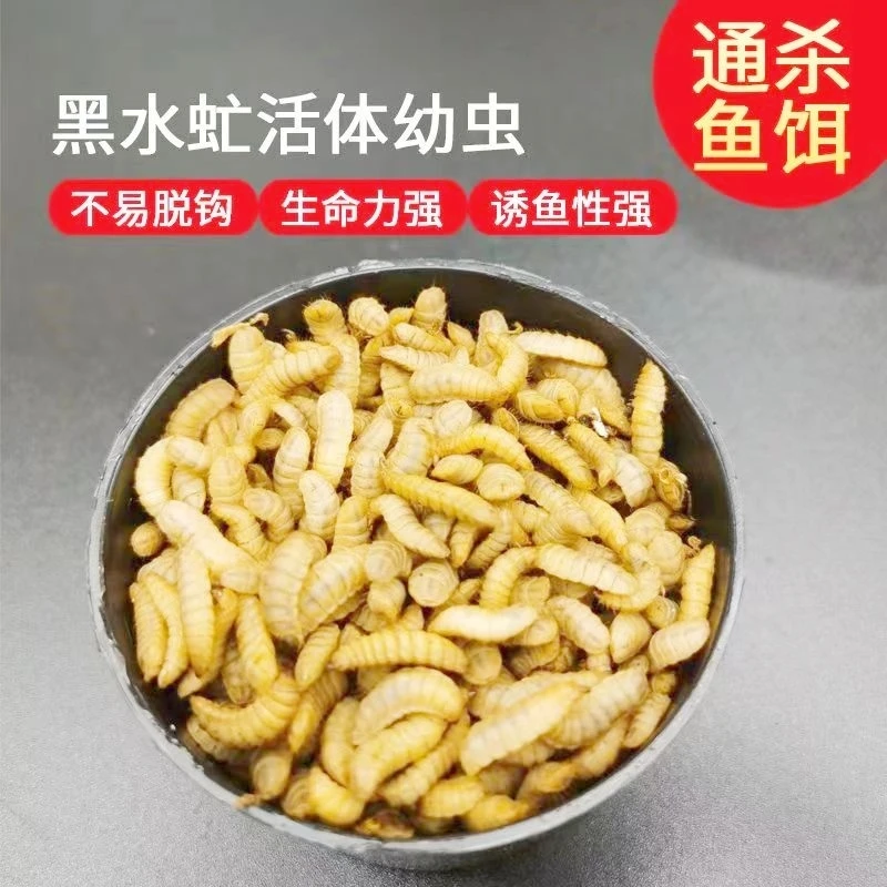 【钓鱼推荐】钓鱼鱼饵饵料黑坑水库鲤鱼鲫鱼黄辣丁罗飞翘嘴腥味鱼饵