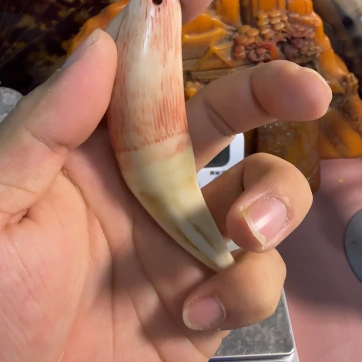 陶珍藏收藏专拍链接