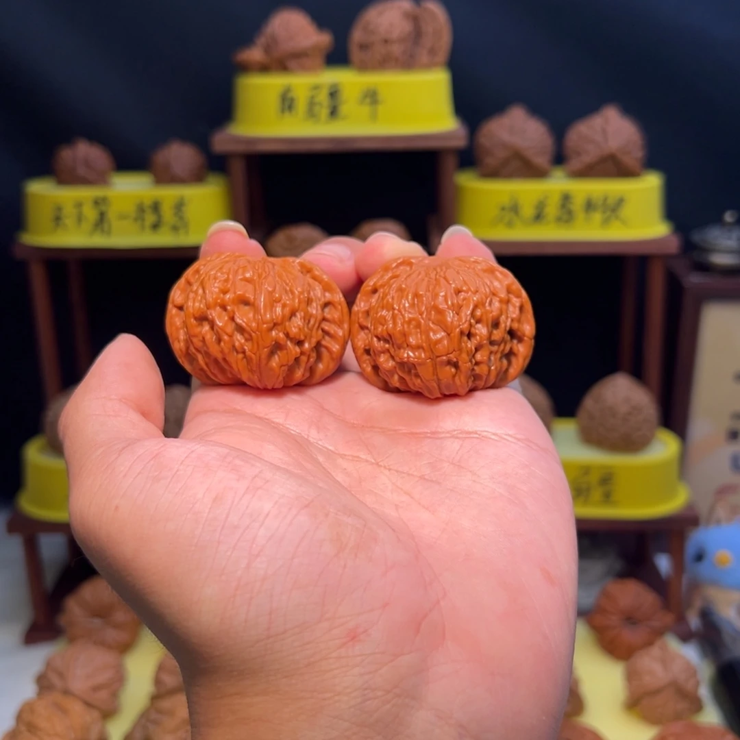 核桃【正磨】全品43山地正磨