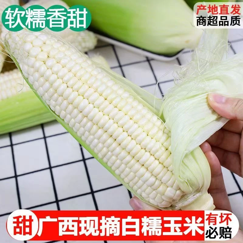 糯米玉米新鲜现摘广西白糯玉米香甜粘嫩带皮棒子