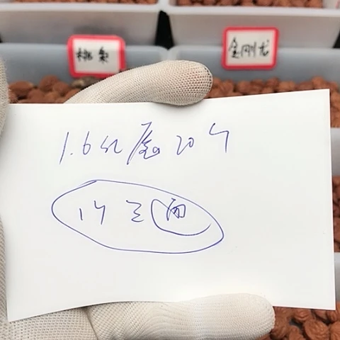 桃核吊坠尐***?龙纹桃核的搭配