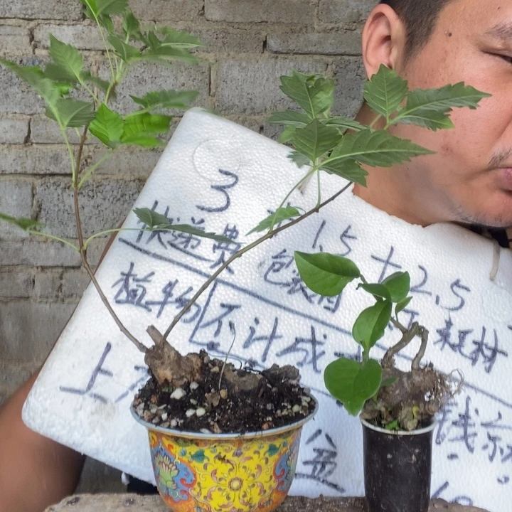 退款拉黑一物一拍63