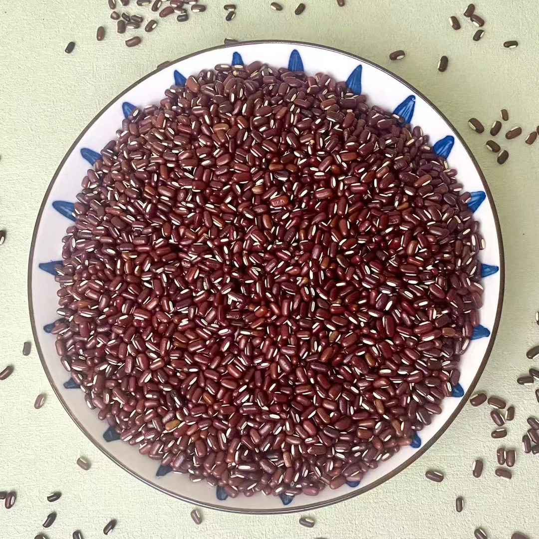 【赤豆】清香豆香颗粒分明色泽暗红
