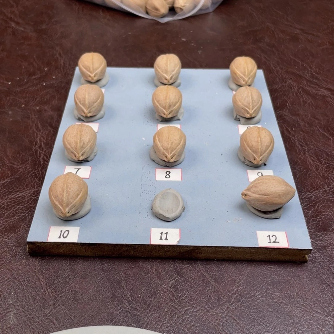 手串/手链橄榄核?**219.27加三通梅林铁核