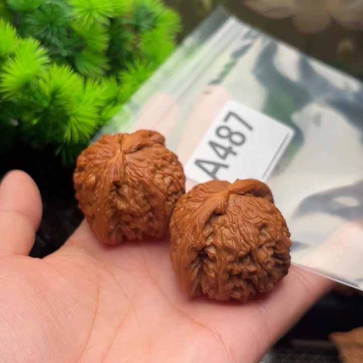 把件桃核白狮子43