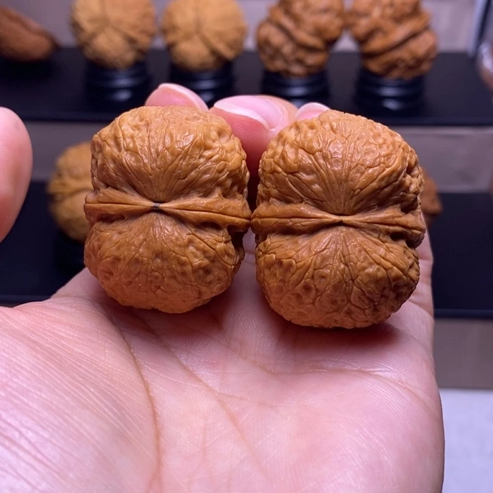 文玩核桃把件鹦鹉元宝37