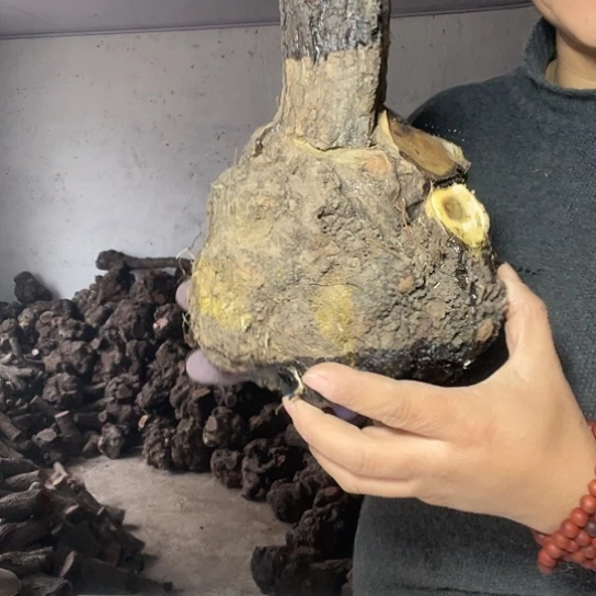 麻璃疙瘩湿料的180