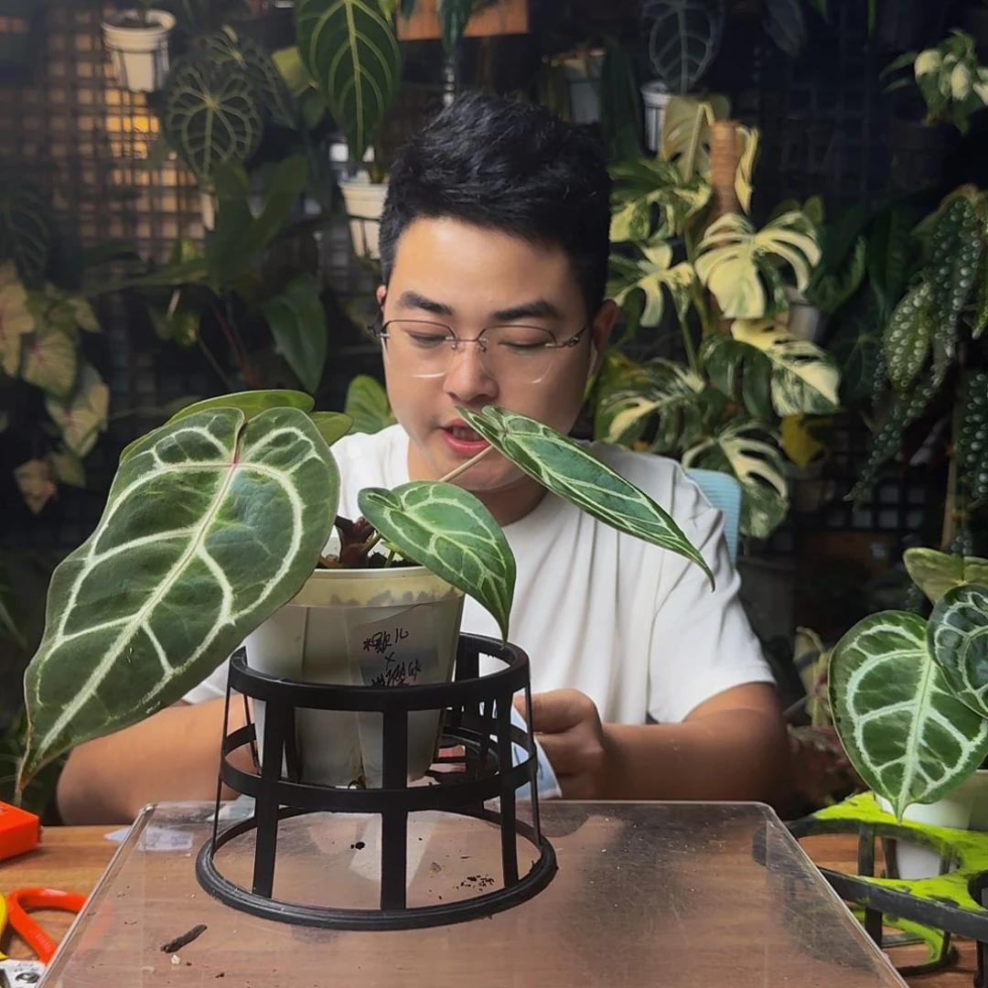 我***小无花朵一物一拍P178