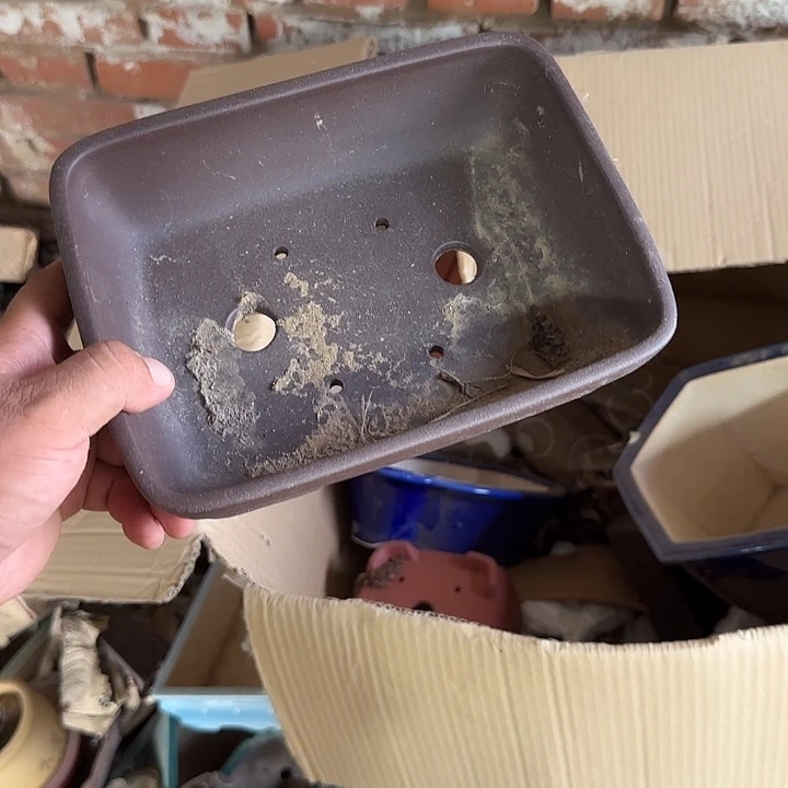 一哈来我这儿吃饭啊亲爱的