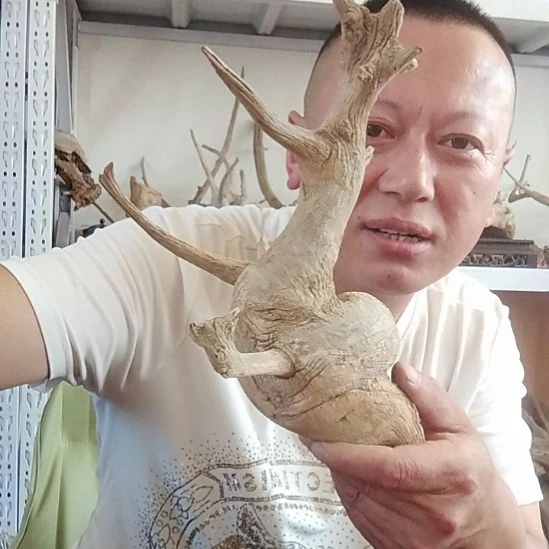 漂亮的文理坨坨。00000518