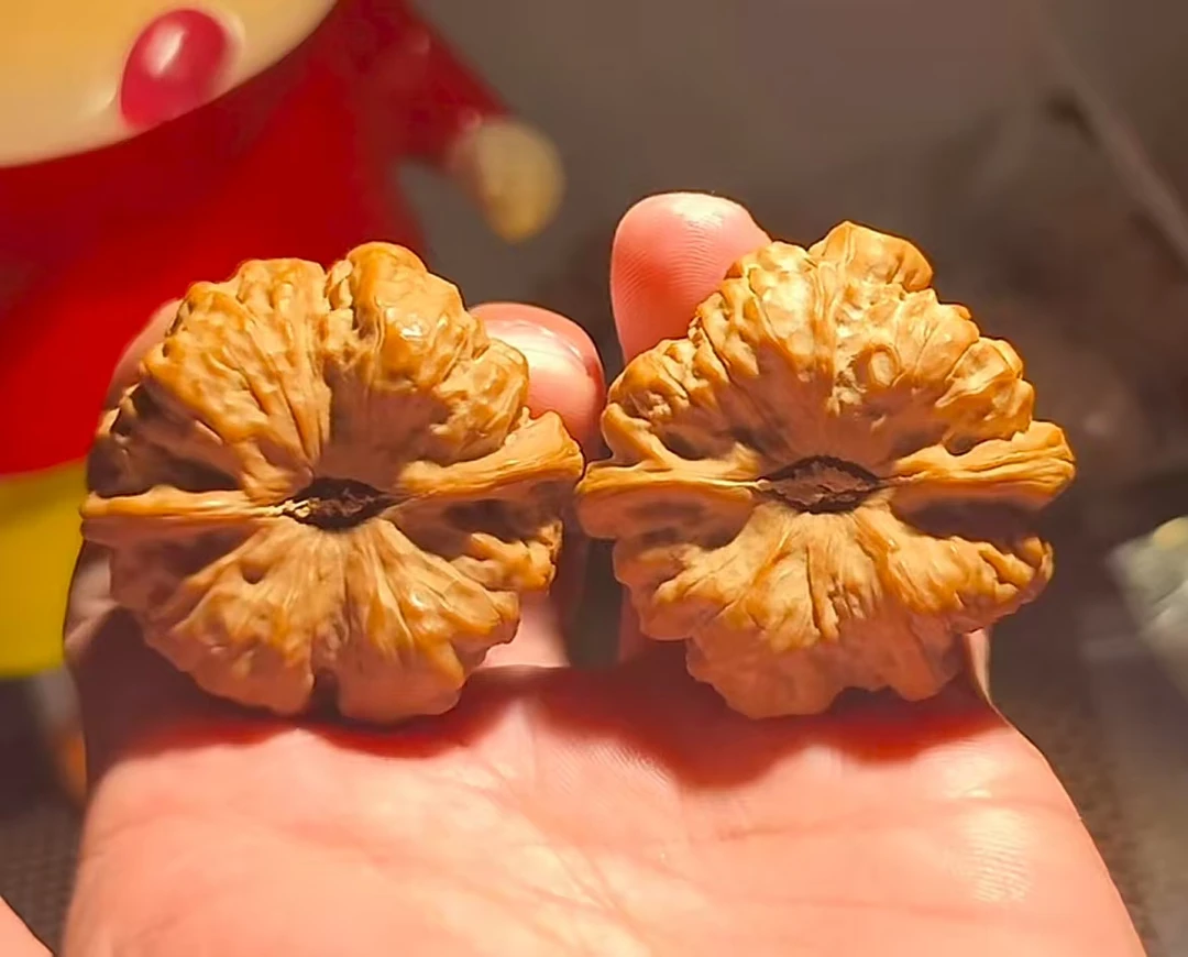 涞水文玩核桃山地果手把件