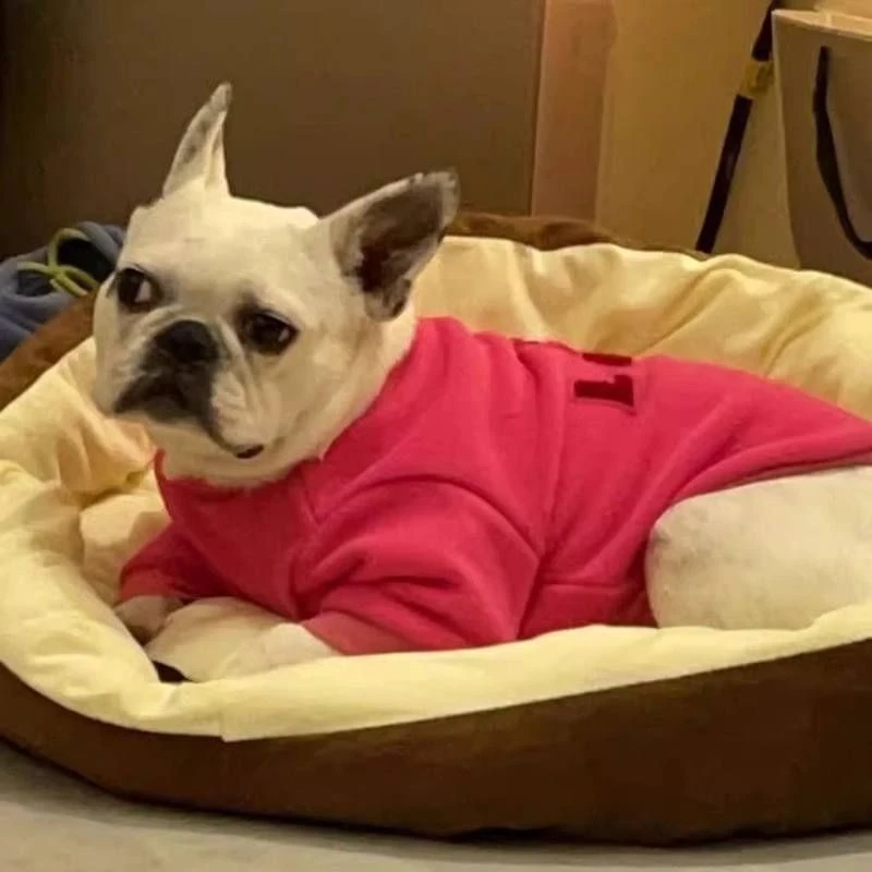 宠物狗狗衣服法斗柯基泰迪恶霸犬巴哥防掉毛加绒卫衣狗狗新年衣服