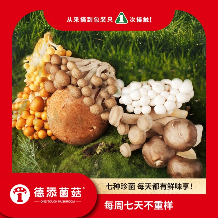 德添菌菇[每日鲜菌]七种新菌菇金针菇滑子菇鹿茸菇杏鲍菇蟹味白玉